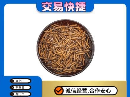 全南县高价回收散虫草